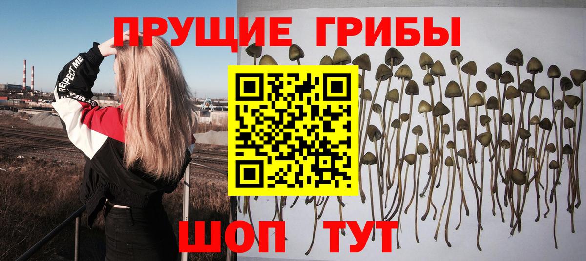 Псилоцибиновые грибы мухоморы  Галлюциногенные грибы MAGIC MUSHROOMS  Вход с VPN  Апрелевка 